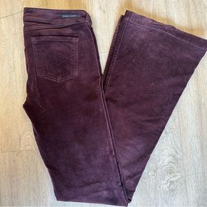 Citizen of Humanity Rocker velvet flare